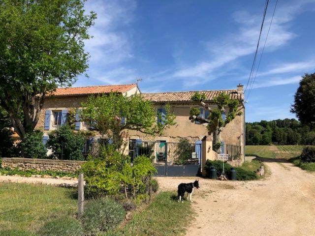 Bed & Breakfast Mas De Costebelle *